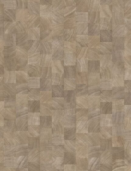 Panele laminowane PARADOR Basic 400 Dąb Poprzeczny Bielony AC4 8mm 24h PREMIUM