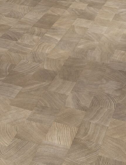 Panele laminowane PARADOR Basic 400 Dąb Poprzeczny Bielony AC4 8mm 24h PREMIUM
